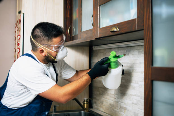 Best Exterminator Services  in Jacksonwald, PA