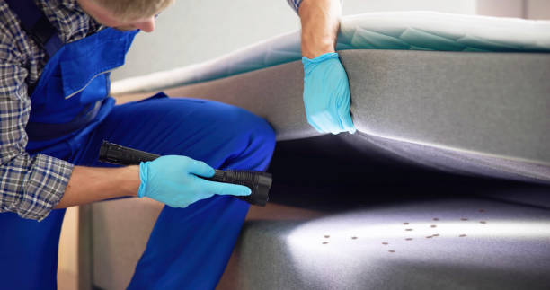 Best Rat Extermination Near Me  in Jacksonwald, PA