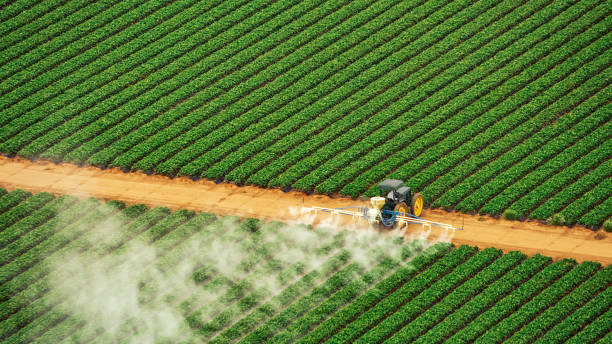 Best Pest Removal Services  in Jacksonwald, PA