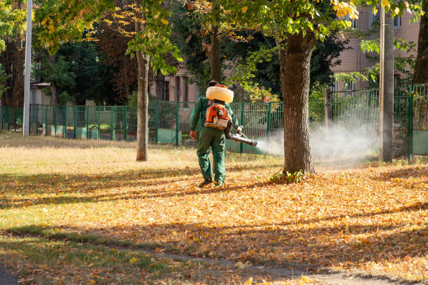 Insect Control in Jacksonwald, PA