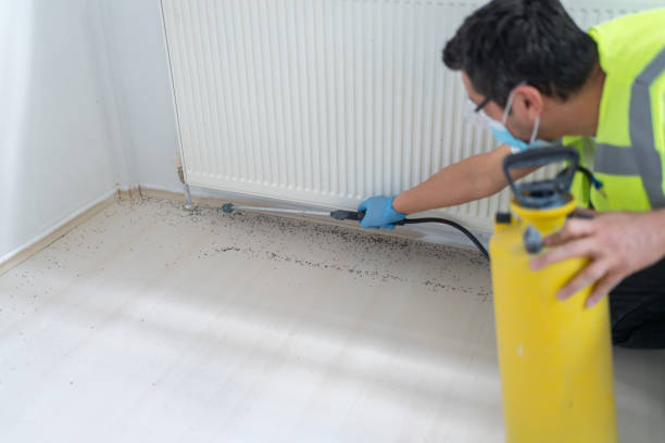 Best Local Pest Control Services  in Jacksonwald, PA