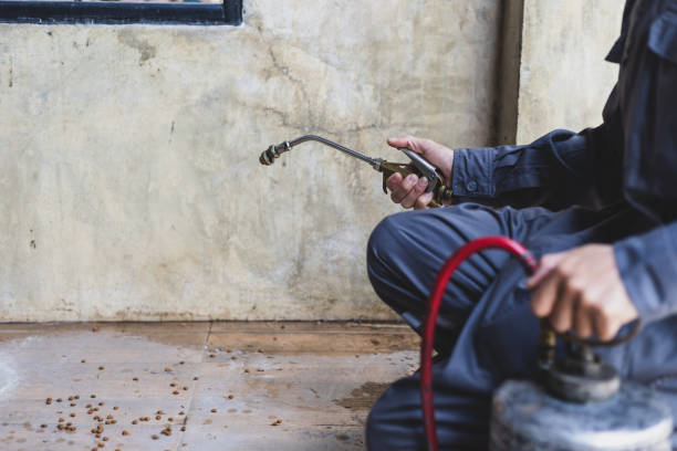 Best Termite Control Services  in Jacksonwald, PA