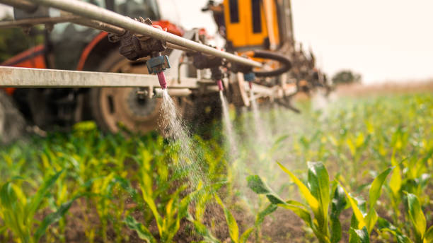 Pest Prevention Services in Jacksonwald, PA